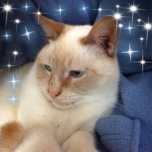 Meet your Posher, Patty